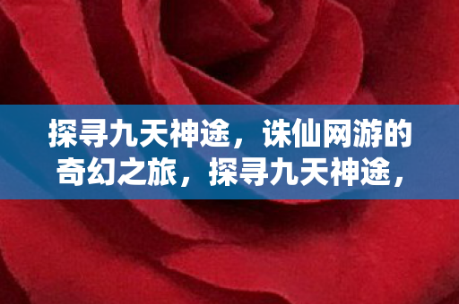 诛仙网游的奇幻之旅图片