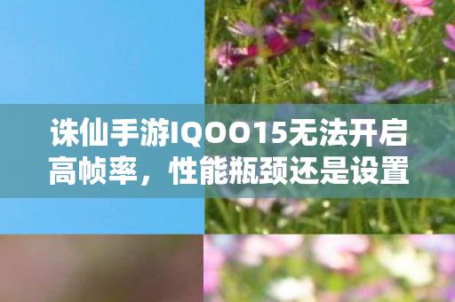 诛仙手游IQOO15无法开启高帧率图片