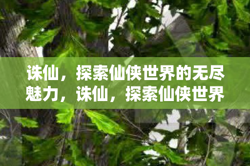探索仙侠世界的无尽魅力图片