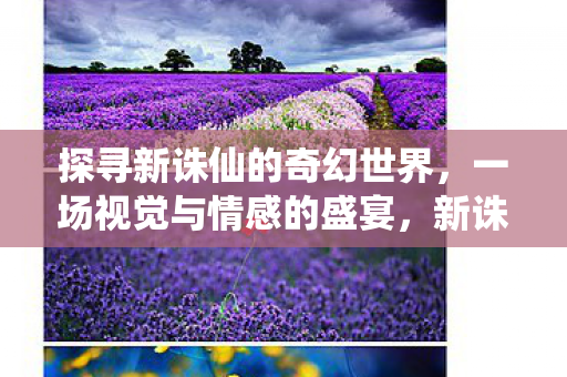 视觉盛宴与情感探索的奇幻之旅图片