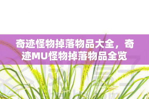 奇迹怪物掉落物品大全，奇迹MU怪物掉落物品全览