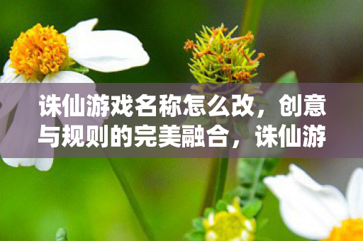 实现创意与规则的完美融合图片