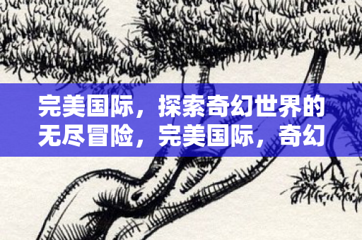 完美国际，探索奇幻世界的无尽冒险，完美国际，奇幻世界的无尽冒险之旅
