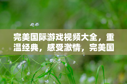 完美国际游戏视频大全,重温经典,感受激情,完美国际游戏经典重温,激情四溢的视听盛宴 完美国际游戏视频大全,重温经典,感受激情,完美国际游戏经典重温,激情四溢的视听盛宴