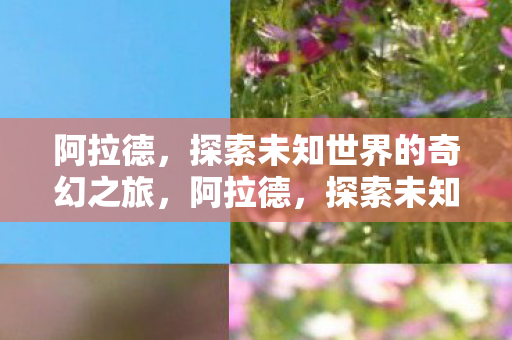 阿拉德，探索未知世界的奇幻之旅，阿拉德，探索未知世界的奇幻冒险之旅
