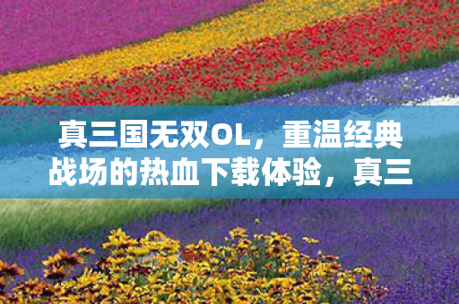 真三国无双OL,重温经典战场的热血下载体验,真三国无双OL,重温经典战场,体验热血下载! 真三国无双OL,重温经典战场的热血下载体验,真三国无双OL,重温经典战场,体验热血下载!
