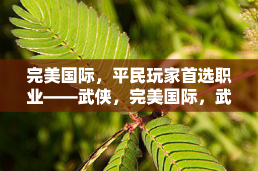 完美国际,平民玩家首选职业——武侠,完美国际,武侠成平民玩家首选职业 完美国际,平民玩家首选职业——武侠,完美国际,武侠成平民玩家首选职业
