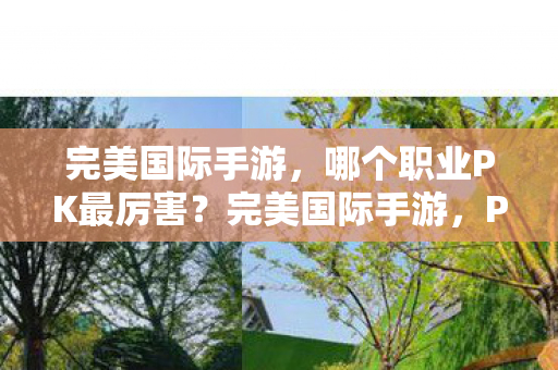 完美国际手游，哪个职业PK最厉害？完美国际手游，PK最厉害的职业揭晓