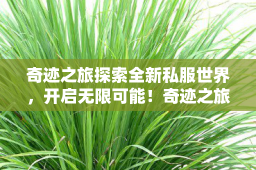 奇迹之旅探索全新私服世界,开启无限可能!奇迹之旅,探索私服世界,开启无限可能! 奇迹之旅探索全新私服世界,开启无限可能!奇迹之旅,探索私服世界,开启无限可能!