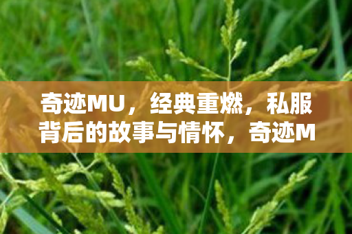 奇迹MU,经典重燃,私服背后的故事与情怀,奇迹MU私服背后的故事与情怀,经典重燃,情怀再现 奇迹MU,经典重燃,私服背后的故事与情怀,奇迹MU私服背后的故事与情怀,经典重燃,情怀再现