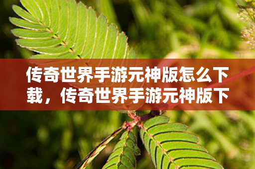 传奇世界手游元神版怎么下载,传奇世界手游元神版下载指南 传奇世界手游元神版怎么下载,传奇世界手游元神版下载指南