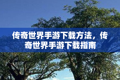 传奇世界手游下载方法,传奇世界手游下载指南 传奇世界手游下载方法,传奇世界手游下载指南