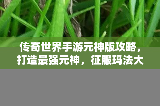 传奇世界手游元神版攻略图片