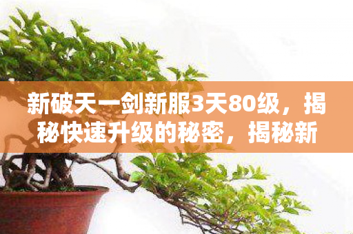 新破天一剑新服3天80级,揭秘快速升级的秘密,揭秘新破天一剑新服3天80级快速升级的秘密 新破天一剑新服3天80级,揭秘快速升级的秘密,揭秘新破天一剑新服3天80级快速升级的秘密