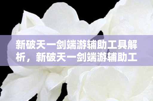 新破天一剑端游辅助工具解析,新破天一剑端游辅助工具全面解析 新破天一剑端游辅助工具解析,新破天一剑端游辅助工具全面解析