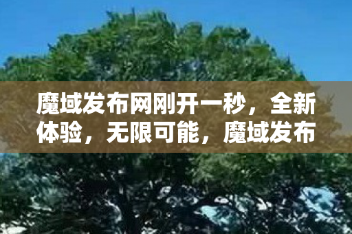 魔域发布网刚开一秒图片