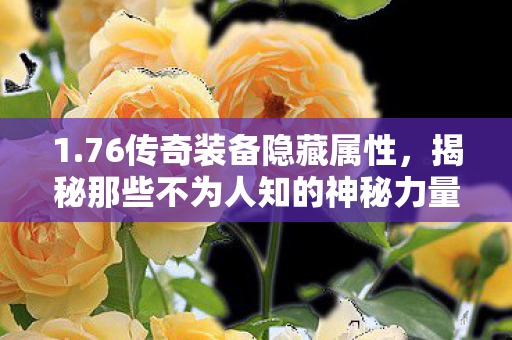 1.76传奇装备隐藏属性，揭秘那些不为人知的神秘力量，揭秘1.76传奇装备隐藏属性，神秘力量大揭秘