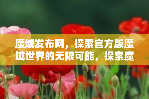探索官方版魔域世界的无限可能图片