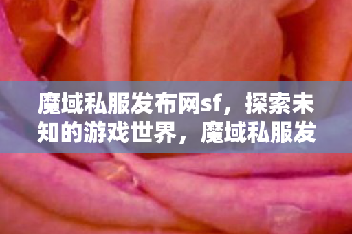 探索未知的游戏世界之旅图片