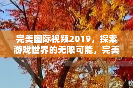 完美国际视频2019，探索游戏世界的无限可能，完美国际视频2019，探索游戏世界的无限可能