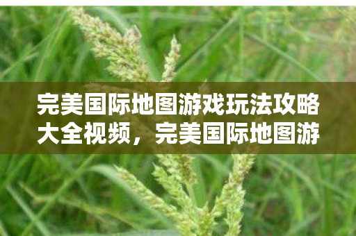 完美国际地图游戏玩法攻略大全视频图片