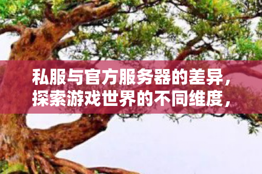 私服与官方服务器的差异，探索游戏世界的不同维度，私服与官方服务器，探索游戏世界的不同维度