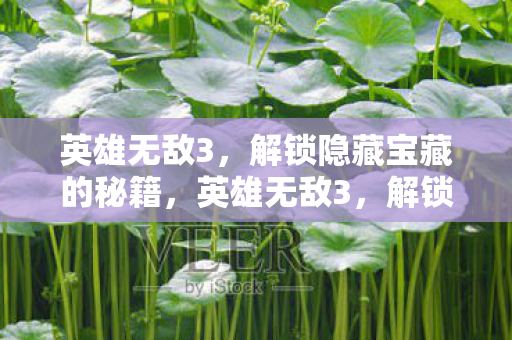 英雄无敌3,解锁隐藏宝藏的秘籍,英雄无敌3,解锁隐藏宝藏的秘籍 英雄无敌3,解锁隐藏宝藏的秘籍,英雄无敌3,解锁隐藏宝藏的秘籍