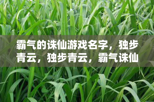 霸气的诛仙游戏名字图片