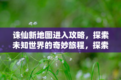 探索未知世界的奇妙旅程图片