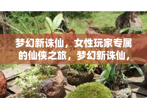 女性玩家专属的仙侠之旅图片