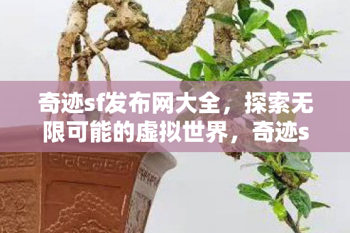 奇迹sf发布网大全,探索无限可能的虚拟世界,奇迹sf发布网大全,探索虚拟世界的无限可能 奇迹sf发布网大全,探索无限可能的虚拟世界,奇迹sf发布网大全,探索虚拟世界的无限可能