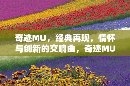 情怀与创新的交响曲图片