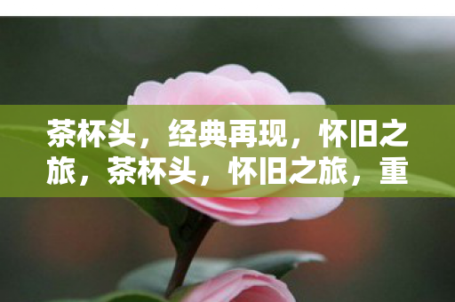 茶杯头，经典再现，怀旧之旅，茶杯头，怀旧之旅，重温经典