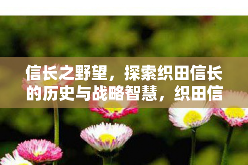 信长之野望,探索织田信长的历史与战略智慧,织田信长,历史与战略智慧的探索之旅 信长之野望,探索织田信长的历史与战略智慧,织田信长,历史与战略智慧的探索之旅
