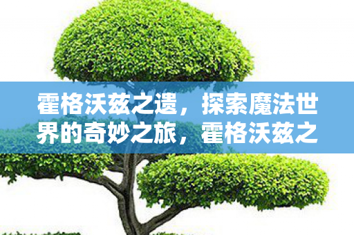 霍格沃兹之遗，探索魔法世界的奇妙之旅，霍格沃兹之遗，魔法世界的奇妙探险之旅
