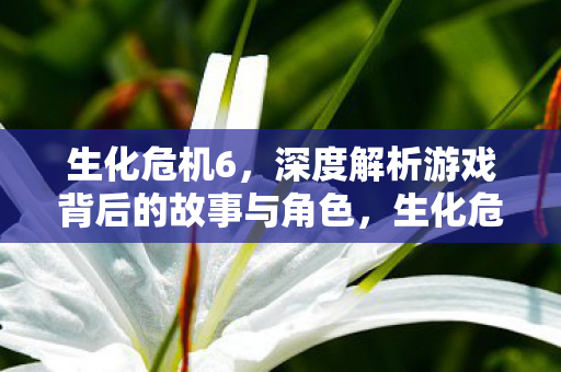 生化危机6，深度解析游戏背后的故事与角色，生化危机6深度解析，揭秘游戏背后的故事与角色