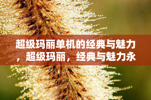超级玛丽单机的经典与魅力,超级玛丽,经典与魅力永存 超级玛丽单机的经典与魅力,超级玛丽,经典与魅力永存