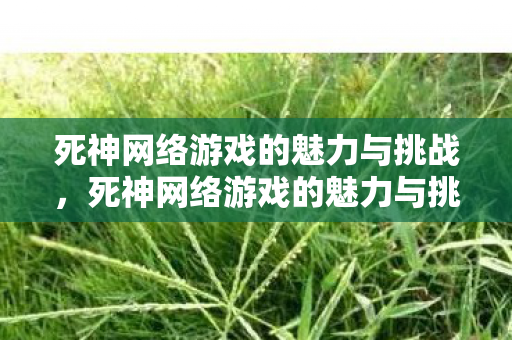 死神网络游戏的魅力与挑战，死神网络游戏的魅力与挑战