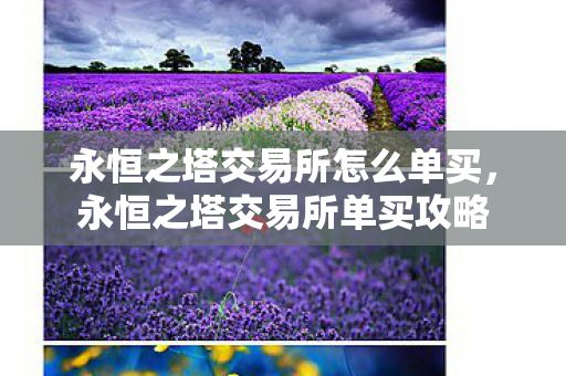 永恒之塔交易所怎么单买,永恒之塔交易所单买攻略 永恒之塔交易所怎么单买,永恒之塔交易所单买攻略