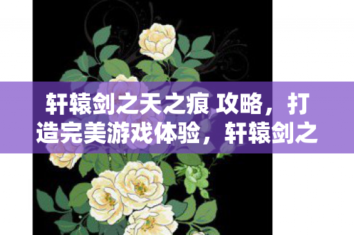 轩辕剑之天之痕 攻略,打造完美游戏体验,轩辕剑之天之痕,打造完美游戏体验攻略 轩辕剑之天之痕 攻略,打造完美游戏体验,轩辕剑之天之痕,打造完美游戏体验攻略