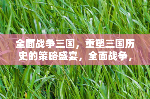 全面战争三国，重塑三国历史的策略盛宴，全面战争，三国重塑三国历史，策略盛宴等你来战