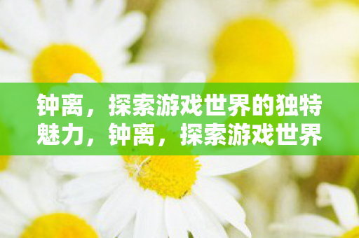 钟离，探索游戏世界的独特魅力，钟离，探索游戏世界的独特魅力