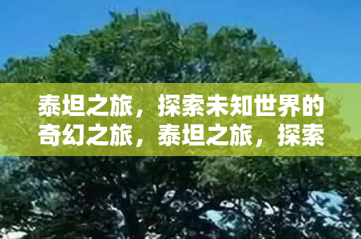 泰坦之旅，探索未知世界的奇幻之旅，泰坦之旅，探索未知世界的奇幻冒险之旅