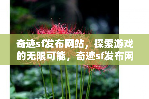 奇迹sf发布网站，探索游戏的无限可能，奇迹sf发布网站，探索游戏世界的无限可能