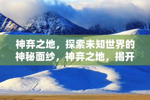 神弃之地，探索未知世界的神秘面纱，神弃之地，揭开未知世界的神秘面纱