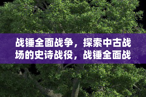 战锤全面战争，探索中古战场的史诗战役，战锤全面战争，中古战场的史诗战役