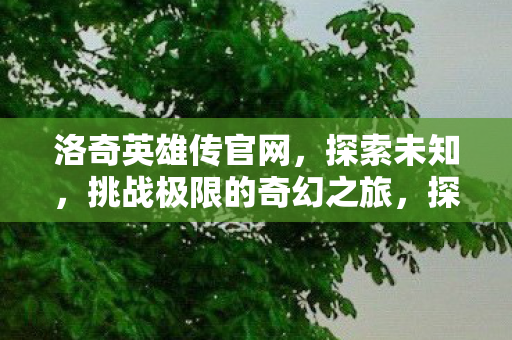 洛奇英雄传官网，探索未知，挑战极限的奇幻之旅，探索未知，挑战极限，洛奇英雄传奇幻之旅开启