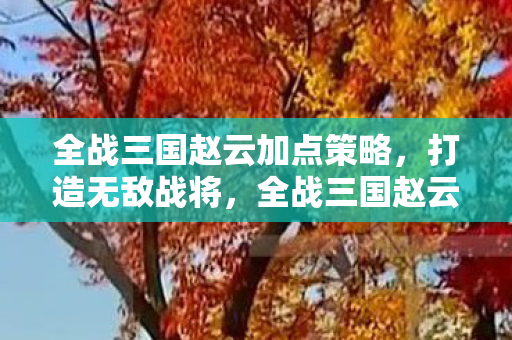 全战三国赵云加点策略,打造无敌战将,全战三国赵云加点攻略,打造无敌战将 全战三国赵云加点策略,打造无敌战将,全战三国赵云加点攻略,打造无敌战将