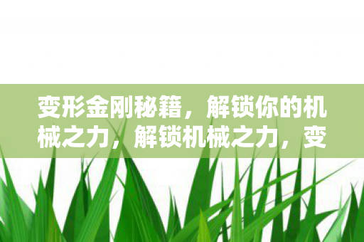 变形金刚秘籍，解锁你的机械之力，解锁机械之力，变形金刚秘籍