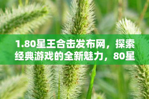 1.80星王合击发布网,探索经典游戏的全新魅力,80星王合击发布网,探索经典游戏的全新魅力 1.80星王合击发布网,探索经典游戏的全新魅力,80星王合击发布网,探索经典游戏的全新魅力